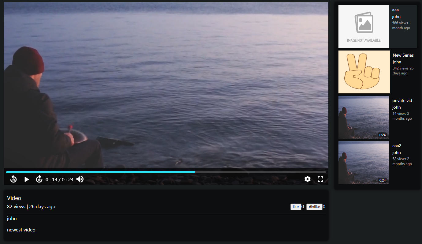 Image of video site